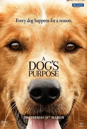 A Dog's Purpose Movie Review