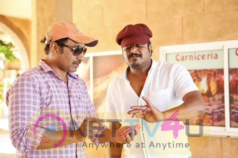 New Movie Mister Working Matters  Telugu Gallery