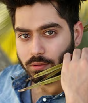 Hindi Assistant Director Kunal Lamba