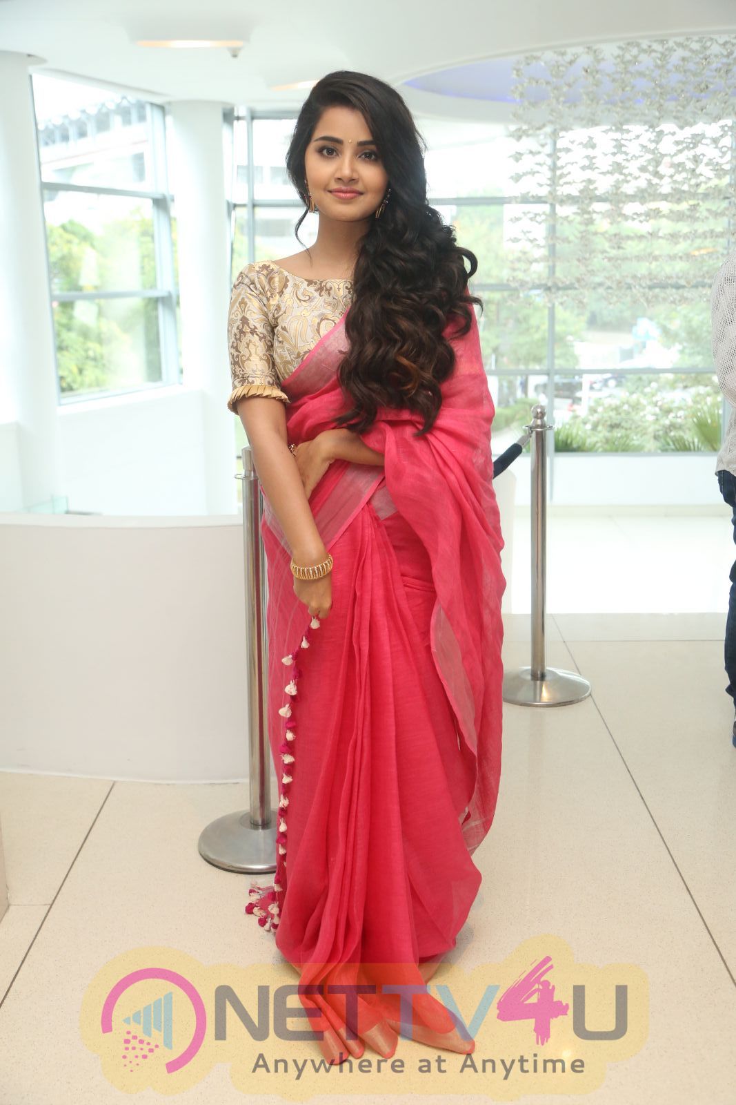 Actress Anupama Parameswaran At Vunnadi Okate Zindagi Movie Thanks Meet Stills Telugu Gallery