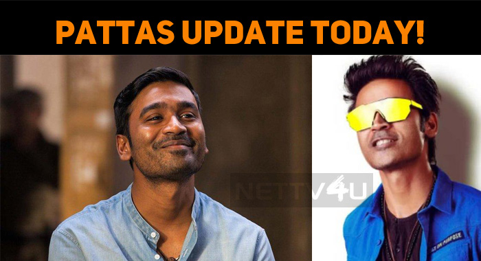 Pattas Update Today!