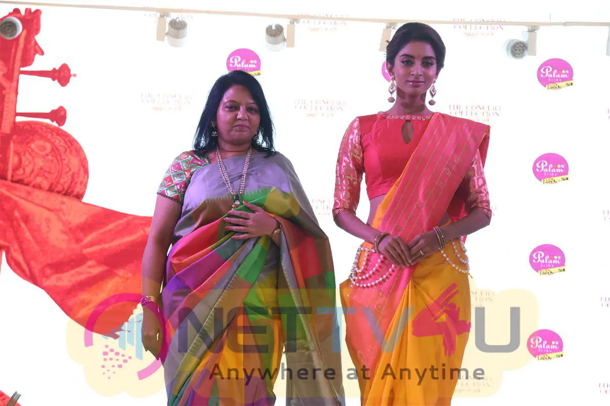 Palam Silks Launches Concert Collection Attractive Photos Tamil Gallery