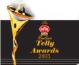 3rd Indian Telly Awards