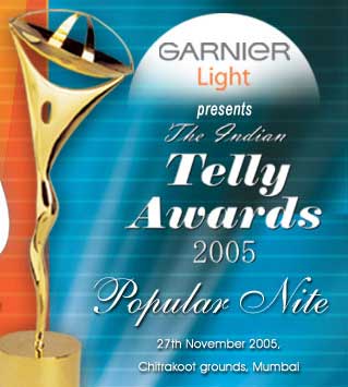 5th-Indian-Telly-Awards.jpg