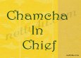 Chamcha in Chief