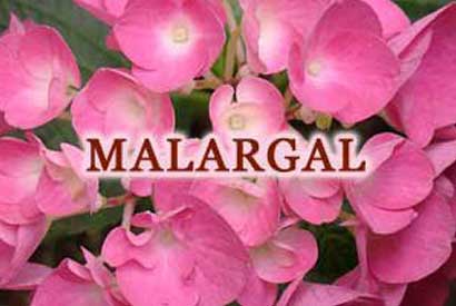 Malargal-1.jpg