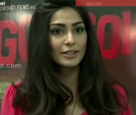 Hindi Movie Actress Puja Gupta