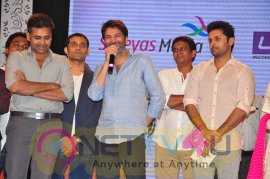 A Aa Telugu Movie Audio Launch Gorgeous Photos Telugu Gallery