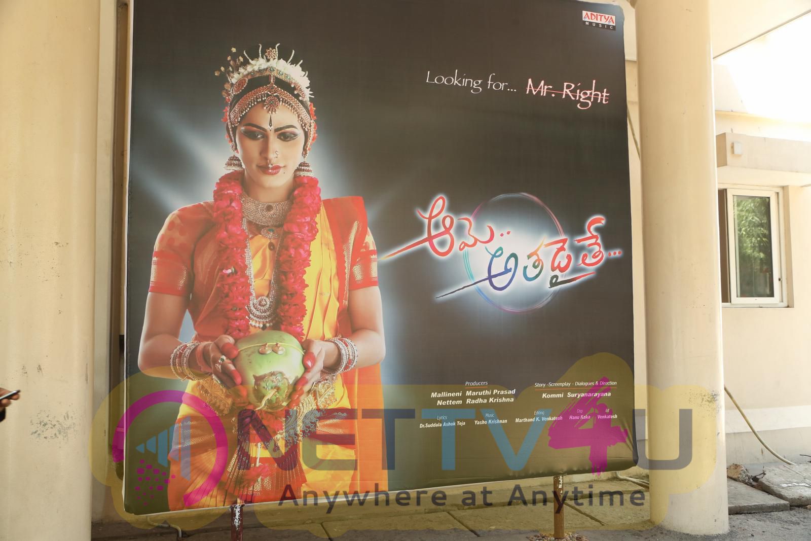 Aame Athadaithe Movie Audio Launch Decorative Stills Telugu Gallery