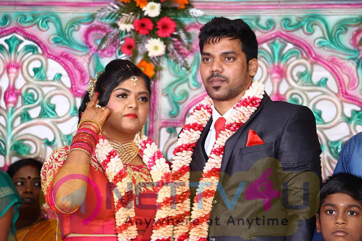 Actor Vasu Vikram's Daughter Vasugi Wedding Reception Stills Tamil Gallery