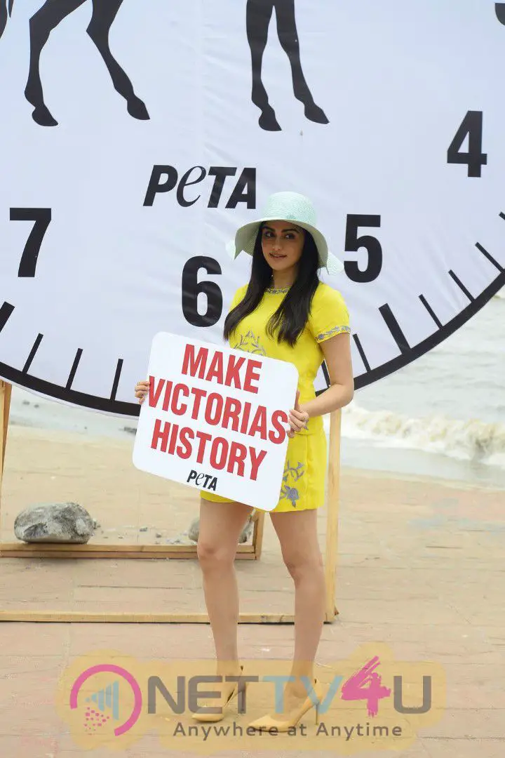 Actress Adah Sharma For PETA On Carter Road At Mumbai Exclusive Images Hindi Gallery