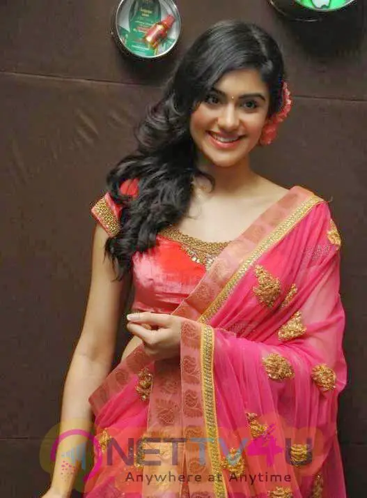 Actress Adah Sharma New & Latest Hot Pics Telugu Gallery