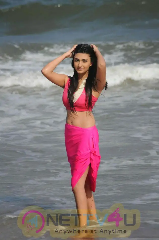 Actress Neelam Upadhyay Latest Hot Photos Telugu Gallery