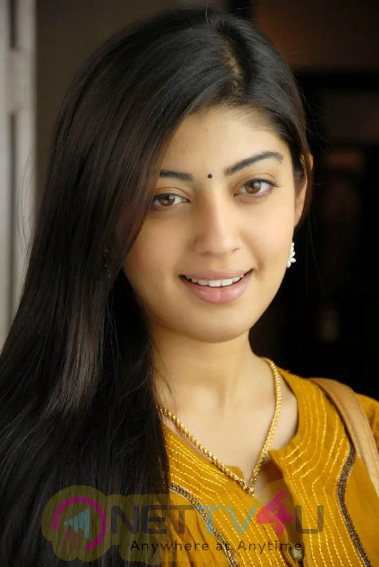 Actress Pranitha Subhash Latest Glamour Stills Kannada Gallery