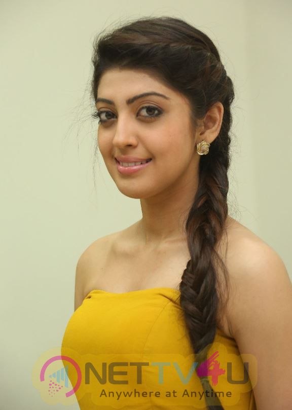 Actress Pranitha Subhash Latest Glamour Stills Kannada Gallery