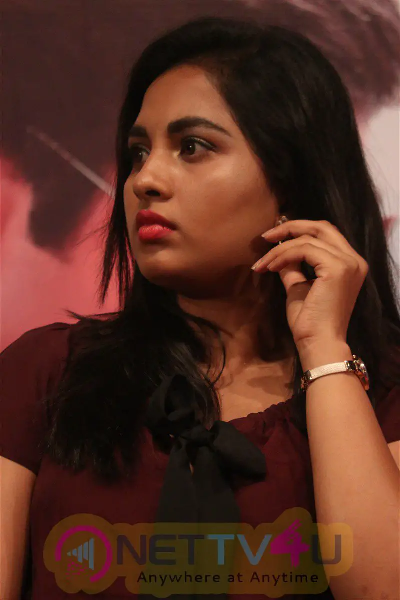 Actress Srushti Dange Stylish Images  At Dharma Durai Press Meet Tamil Gallery