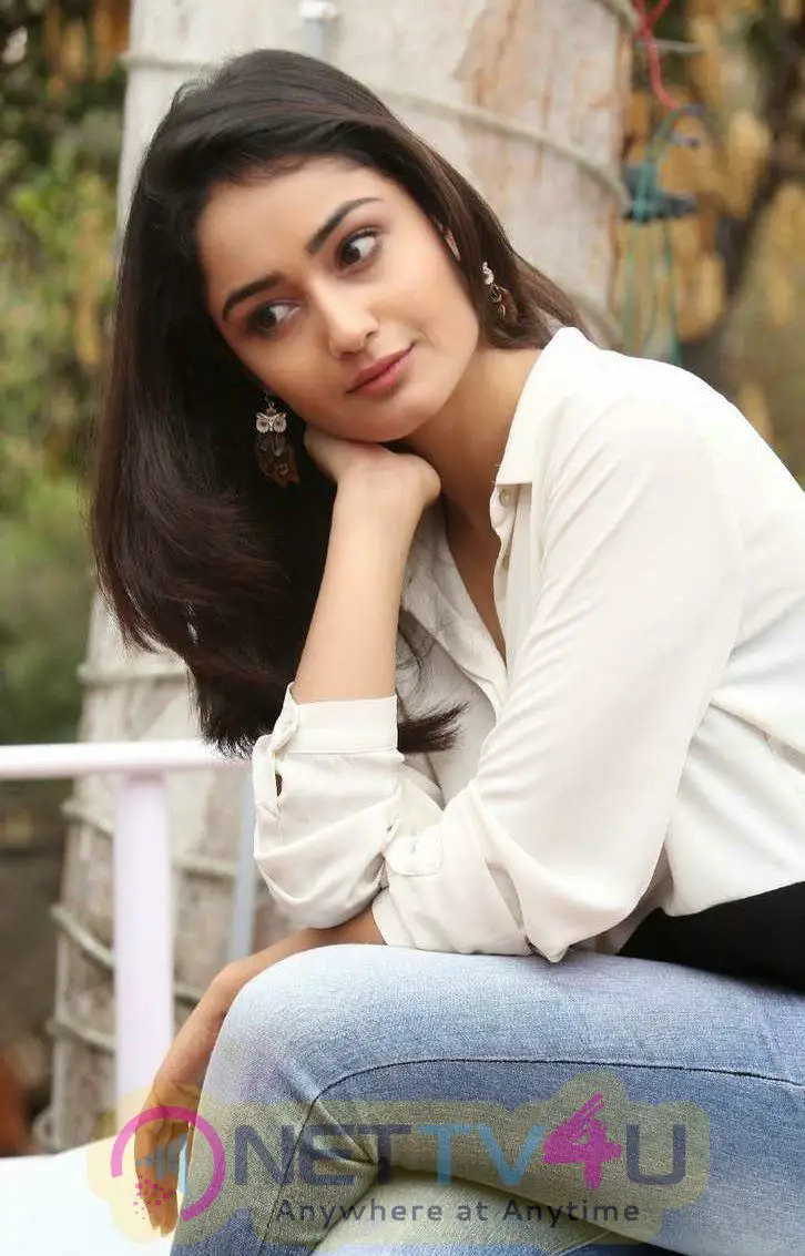 Actress Tridha Choudhury Exclusive Gallery Images Telugu Gallery