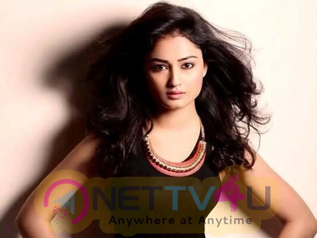 Actress Tridha Choudhury Exclusive Gallery Images Telugu Gallery