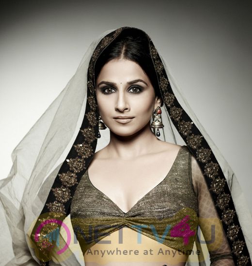 Actress Vidya Balan Beautiful Images Hindi Gallery