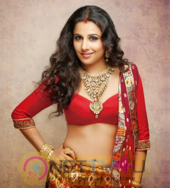 Actress Vidya Balan Beautiful Images Hindi Gallery