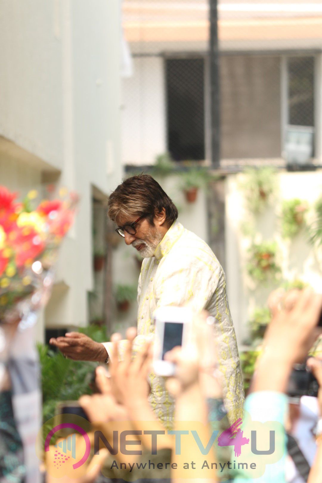 Amitabh Bachchan Celebrates His 74th Birthday Exotic Stills Hindi Gallery