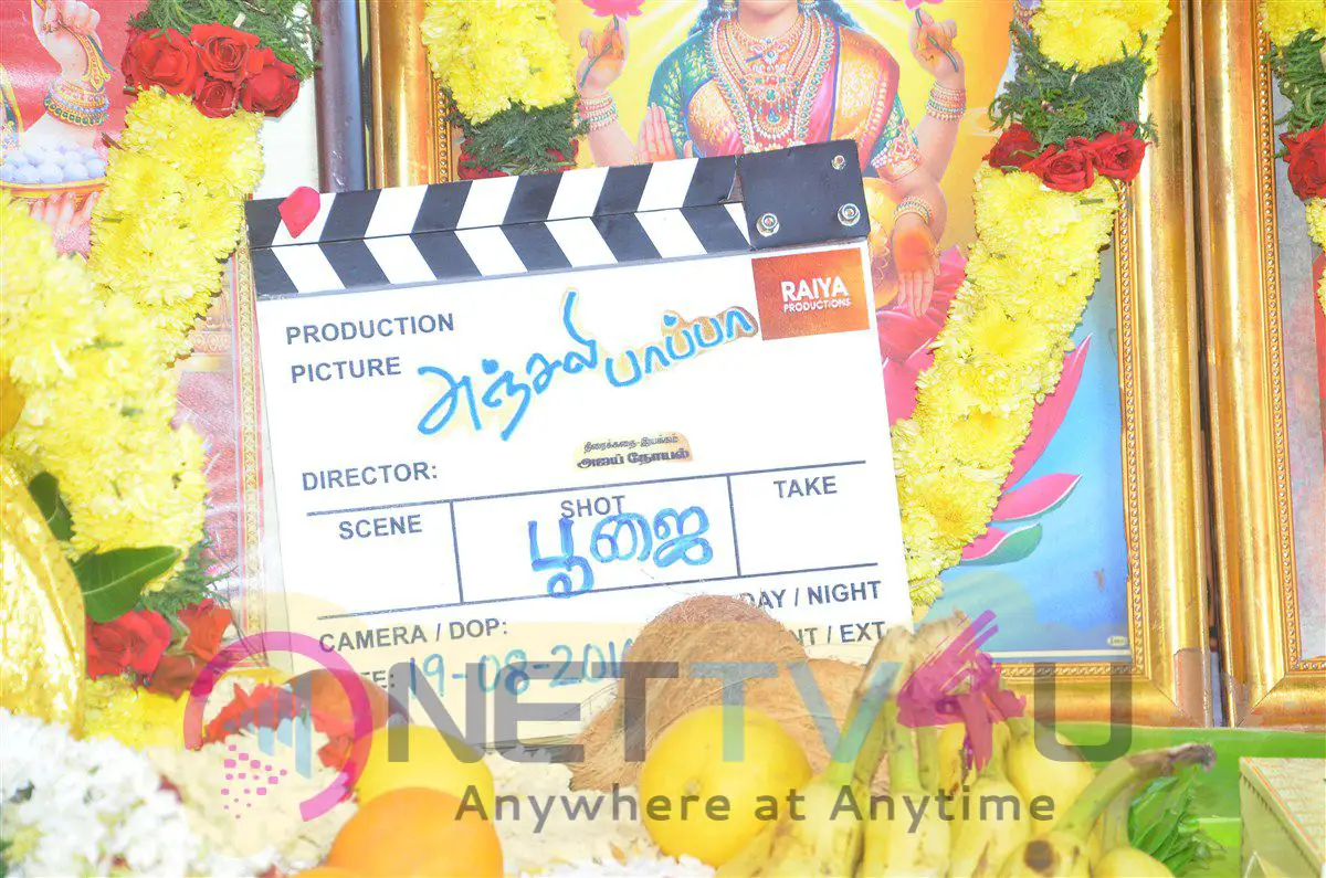 Anjali Pappa Movie Pooja Exclusive Photos Tamil Gallery