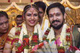 Actor Nakul Weds Shruti Marriage Photos Tamil Gallery