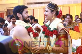 Actor Nakul Weds Shruti Marriage Photos Tamil Gallery