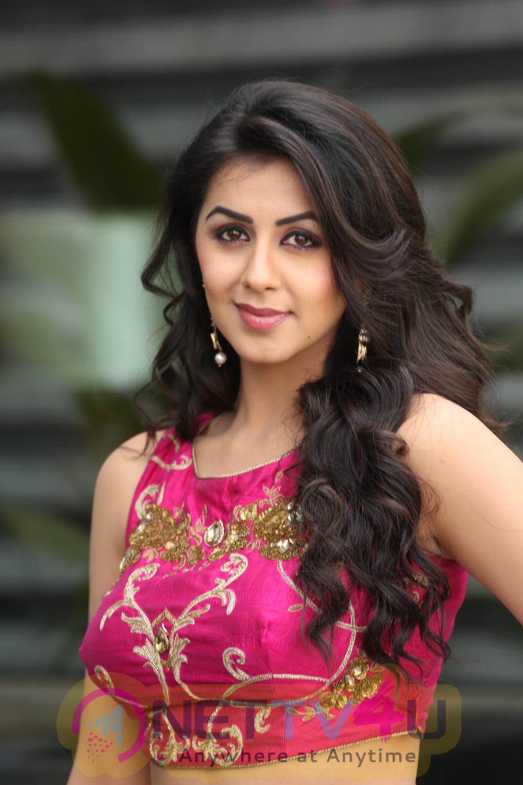 Actress Nikki Galrani Latest Stills Tamil Gallery