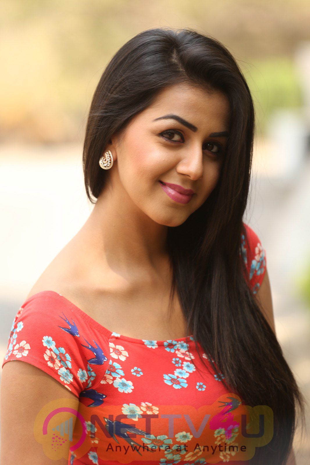 Actress Nikki Galrani Latest Stills Tamil Gallery