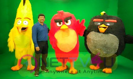 Angry Bird Visits Chennai Stills English Gallery