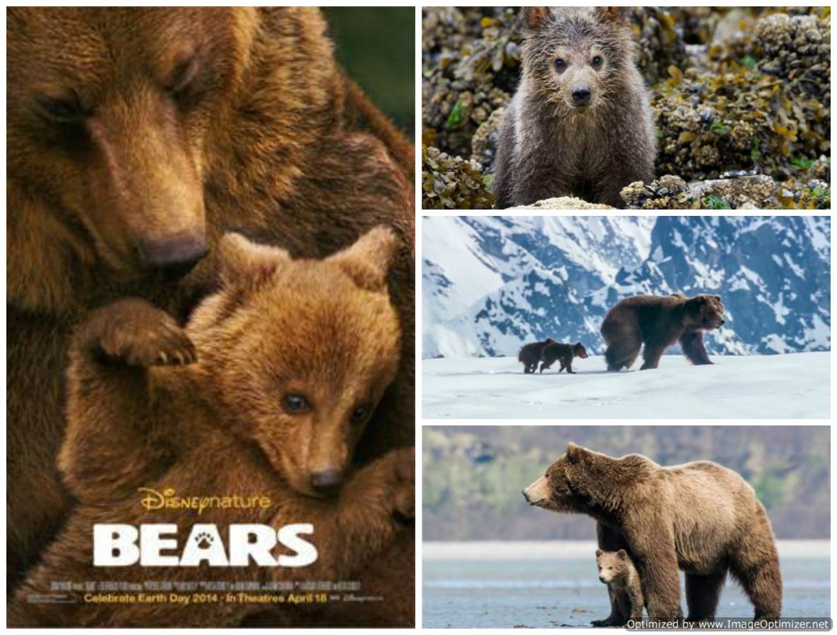 Bears Movie Review