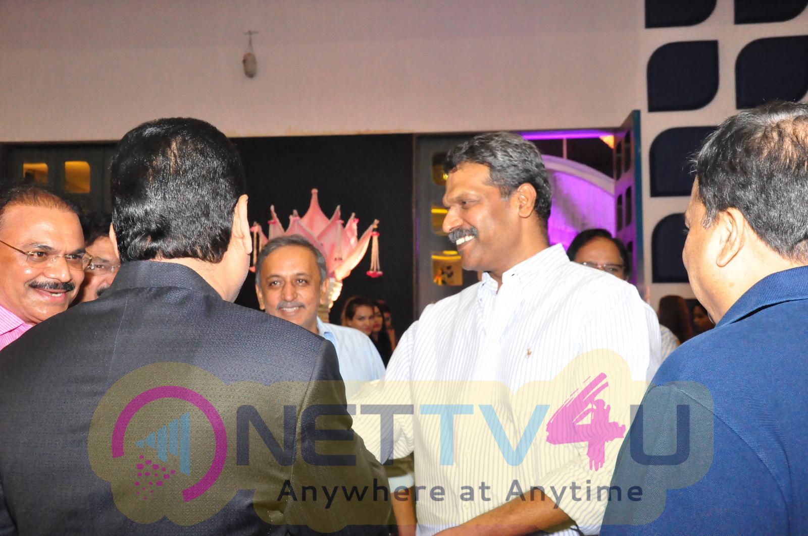 Celebrities At Producer Raja Reddy Son Reception Pics Telugu Gallery