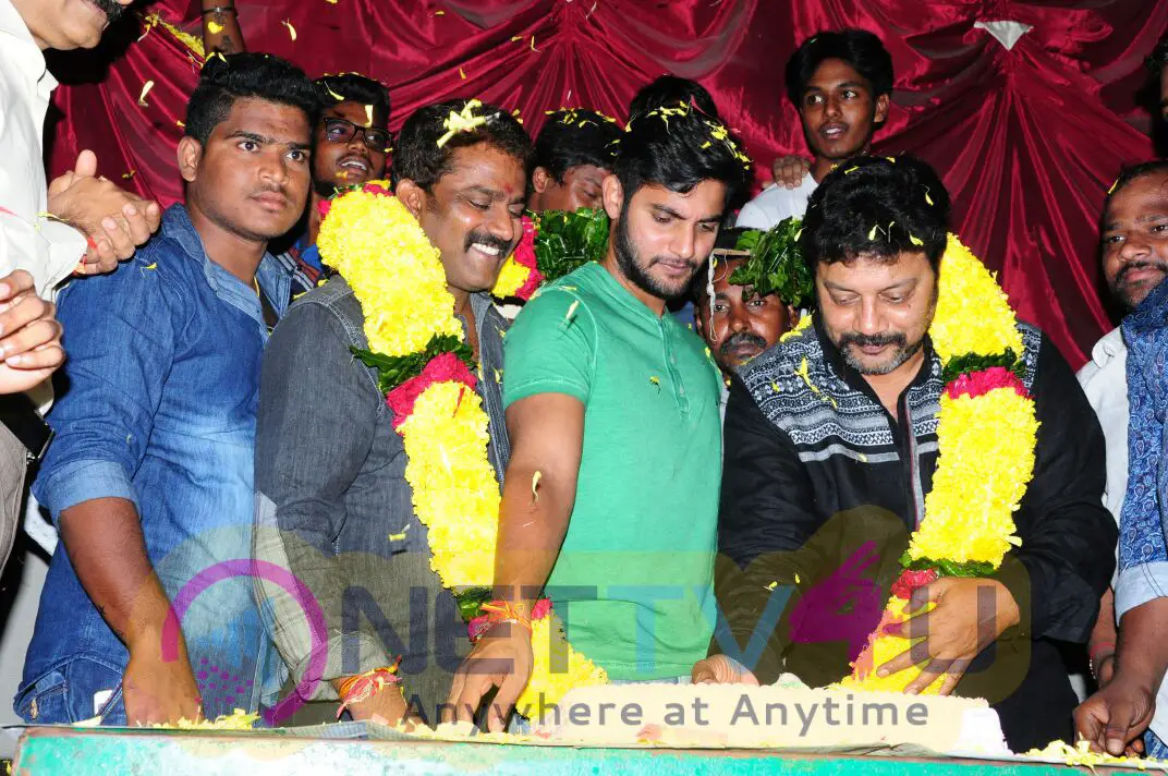 Chuttalabbayi Movie Success Tour Vijayawada Photos Stills Telugu Gallery