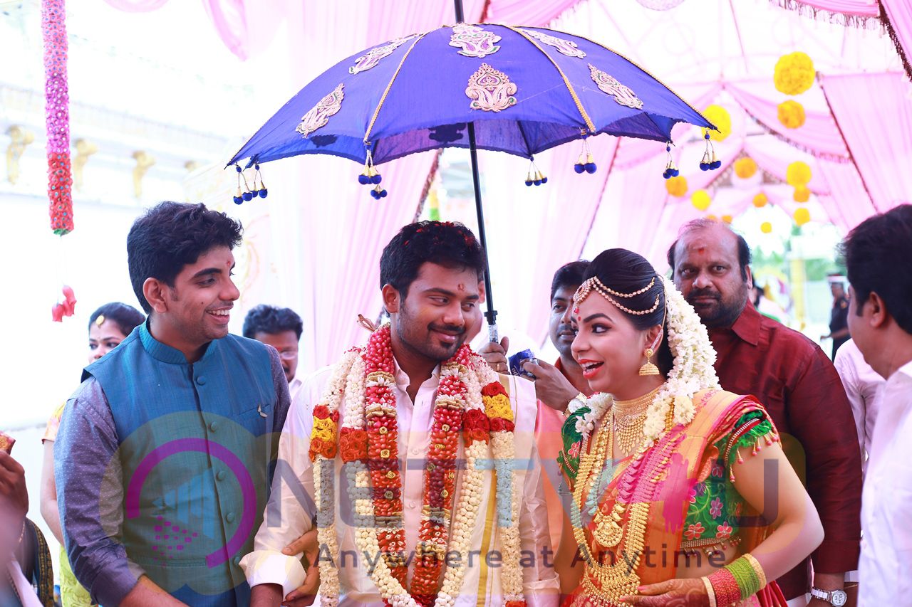Director R. Pandiarajan Son Prithvirajan Weds Akshaya Wedding Reception Photos Tamil Gallery