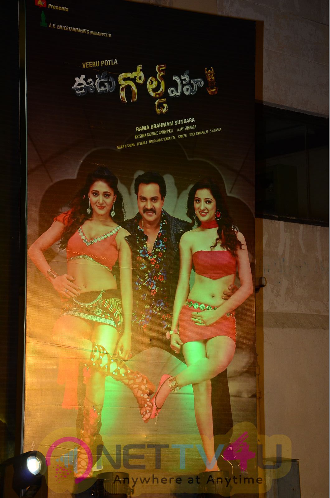 Eedu Gold Ehe Movie Gummadikaya Function Photos Telugu Gallery
