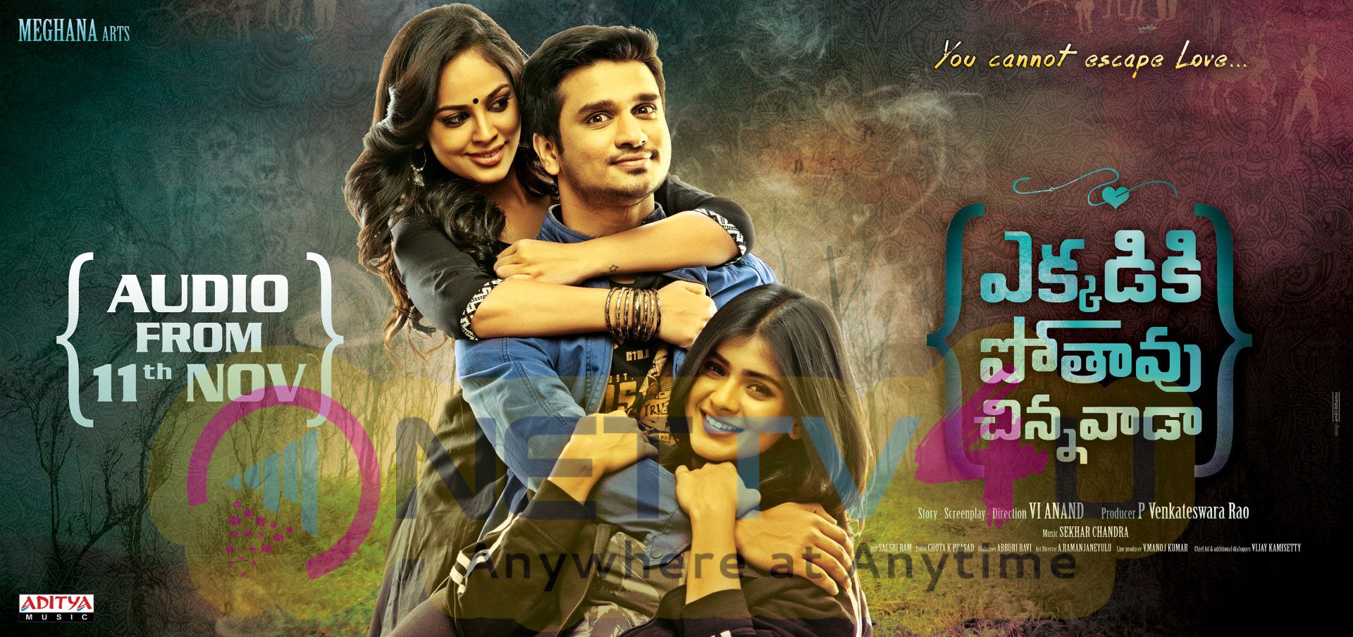 Ekkadiki Pothavu Chinnavada Telugu Movie Today Audio Launch Poster Telugu Gallery