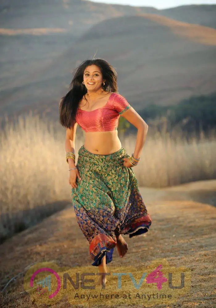 Film Actress Priyamani Exclusive Hot Sexy Photos Tamil Gallery