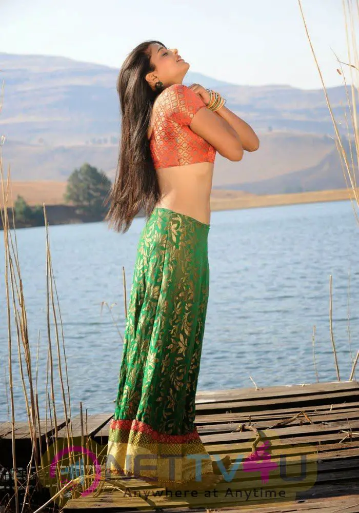 Film Actress Priyamani Exclusive Hot Sexy Photos Tamil Gallery