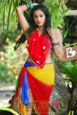 Priyamani Hot Photos - Photo 30 of 82