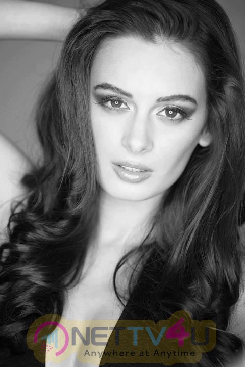 Gorgeous Evelyn Sharma Fast Emerging The Most Popular Muse For Designers Still Hindi Gallery