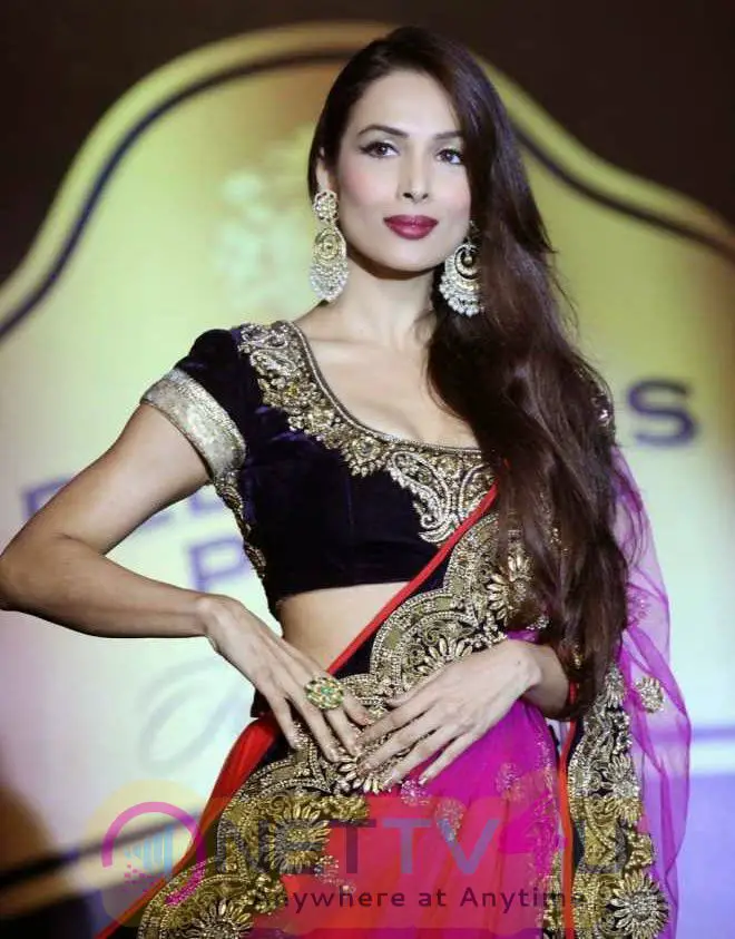 Hot And Sexy Malaika Arora Khan Best High Quality Images | 192466 ...