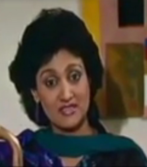 Hindi Tv Actress Humaira Zaheer