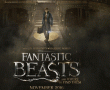 J K Rowling's Fantastic Beasts Trailer Is Here English News