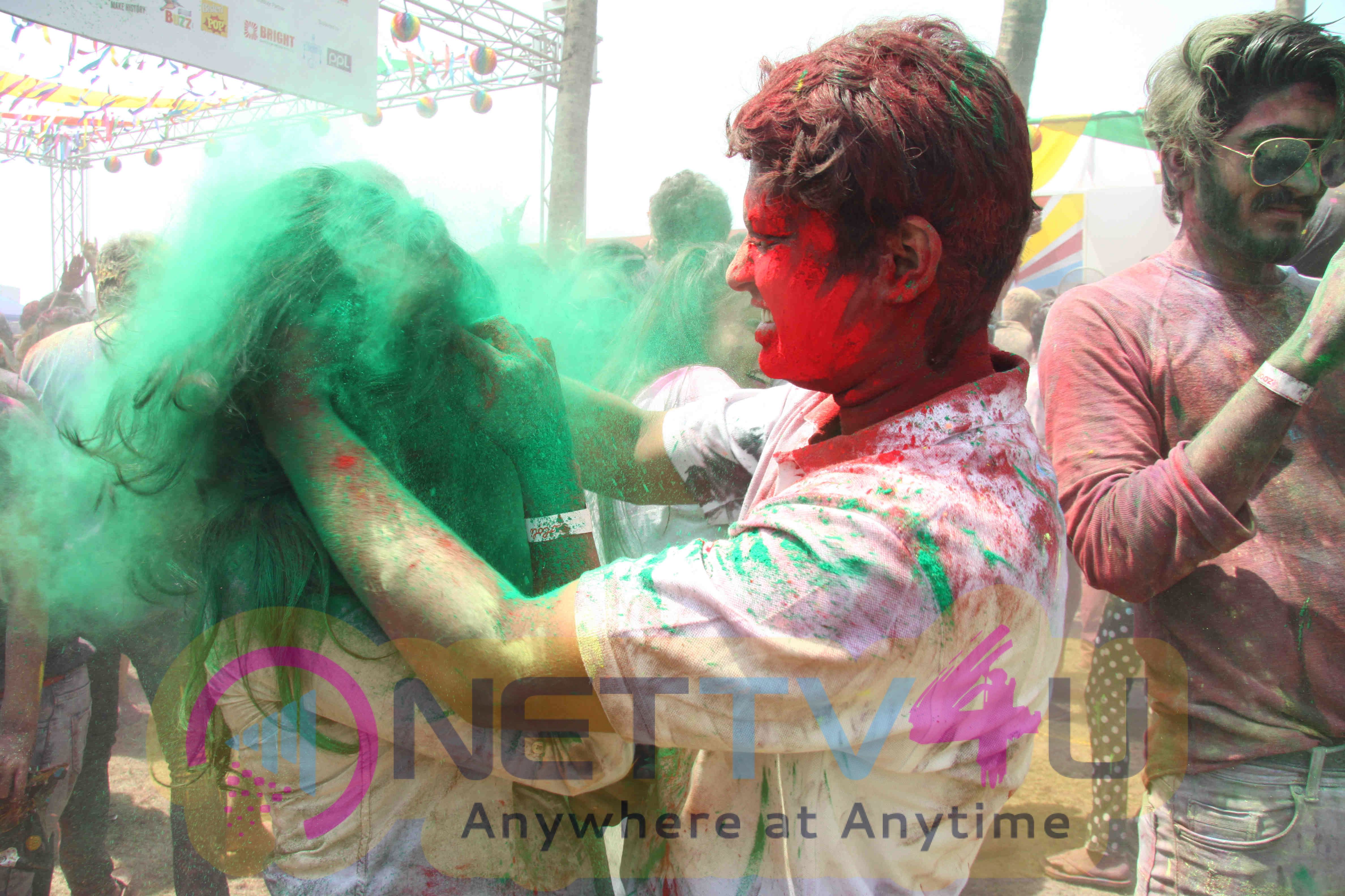 poonam pandey celebrates holi