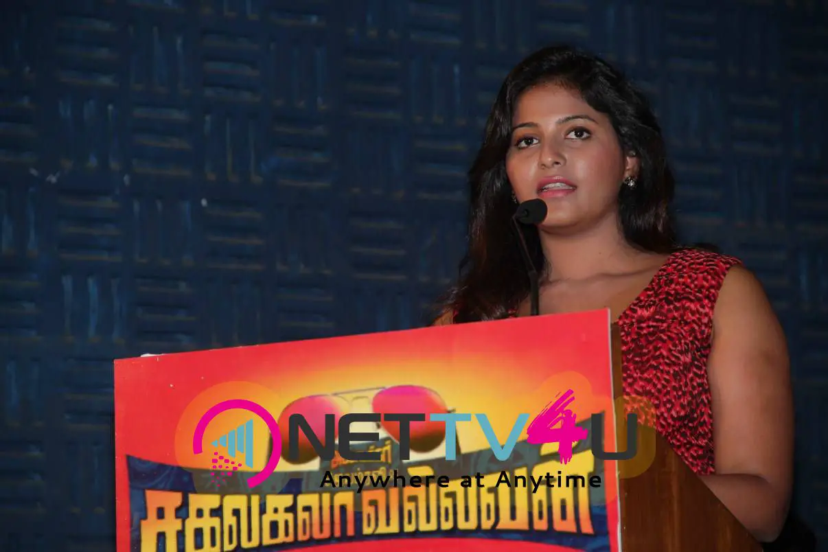 kollywood actress anjali photos at sakalakala vallavan appatakkar movie press meet 28