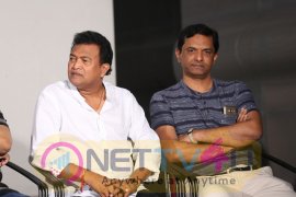 Lakshmi Devi Samarpinchu Nede Chudandi Platinum Disc Function Photos Telugu Gallery