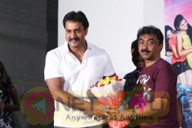 Lakshmi Devi Samarpinchu Nede Chudandi Platinum Disc Function Photos Telugu Gallery