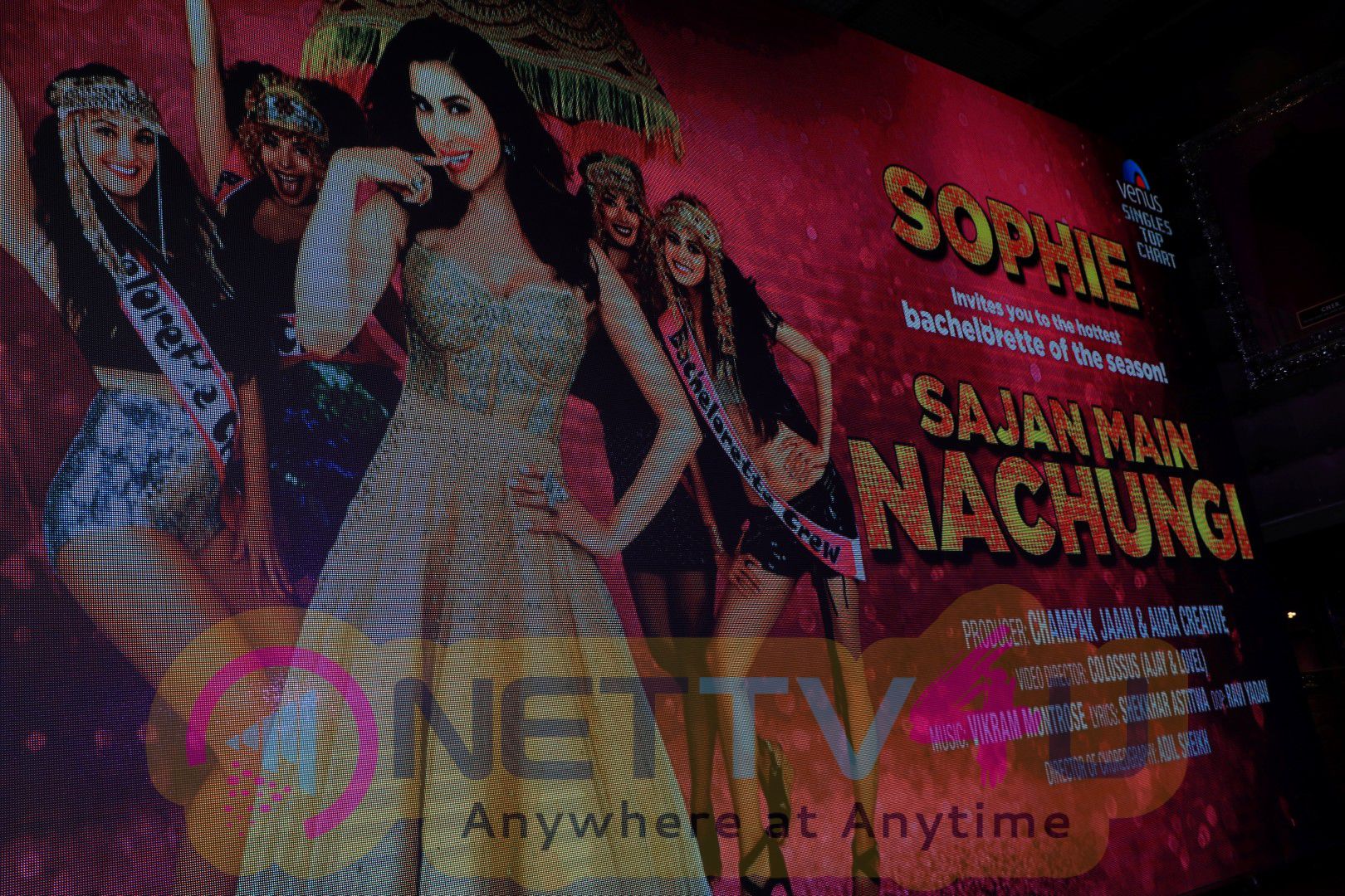 Launch Of Sophie Choudry New Single Sajan Main Nachungi By Varun Dhawan Photos Hindi Gallery