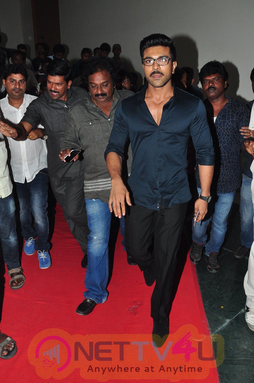 Megastar Chiranjeevi 61 Birthday 2016 Celebrations Photos Telugu Gallery